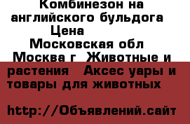 Комбинезон на английского бульдога › Цена ­ 1 500 - Московская обл., Москва г. Животные и растения » Аксесcуары и товары для животных   